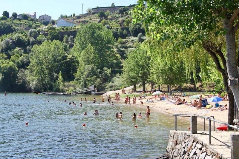 Quinta De Catapeixe Douro River Magrelos 외부 사진