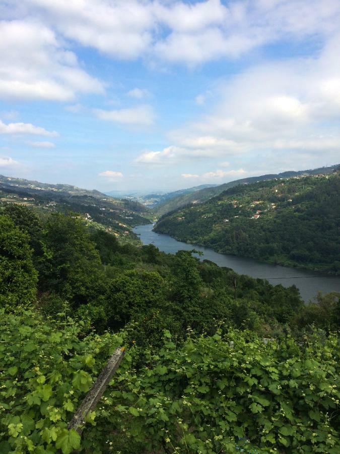 Quinta De Catapeixe Douro River Magrelos 외부 사진