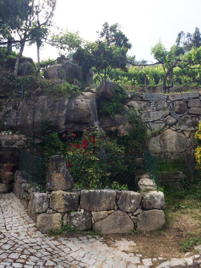Quinta De Catapeixe Douro River Magrelos 외부 사진