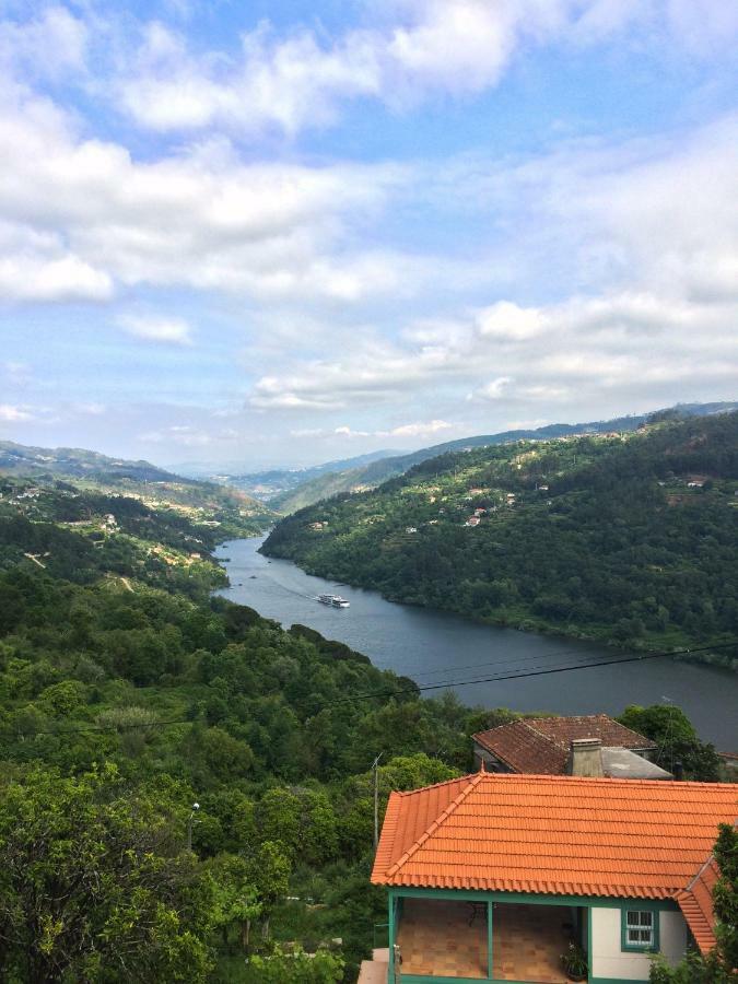 Quinta De Catapeixe Douro River Magrelos 외부 사진