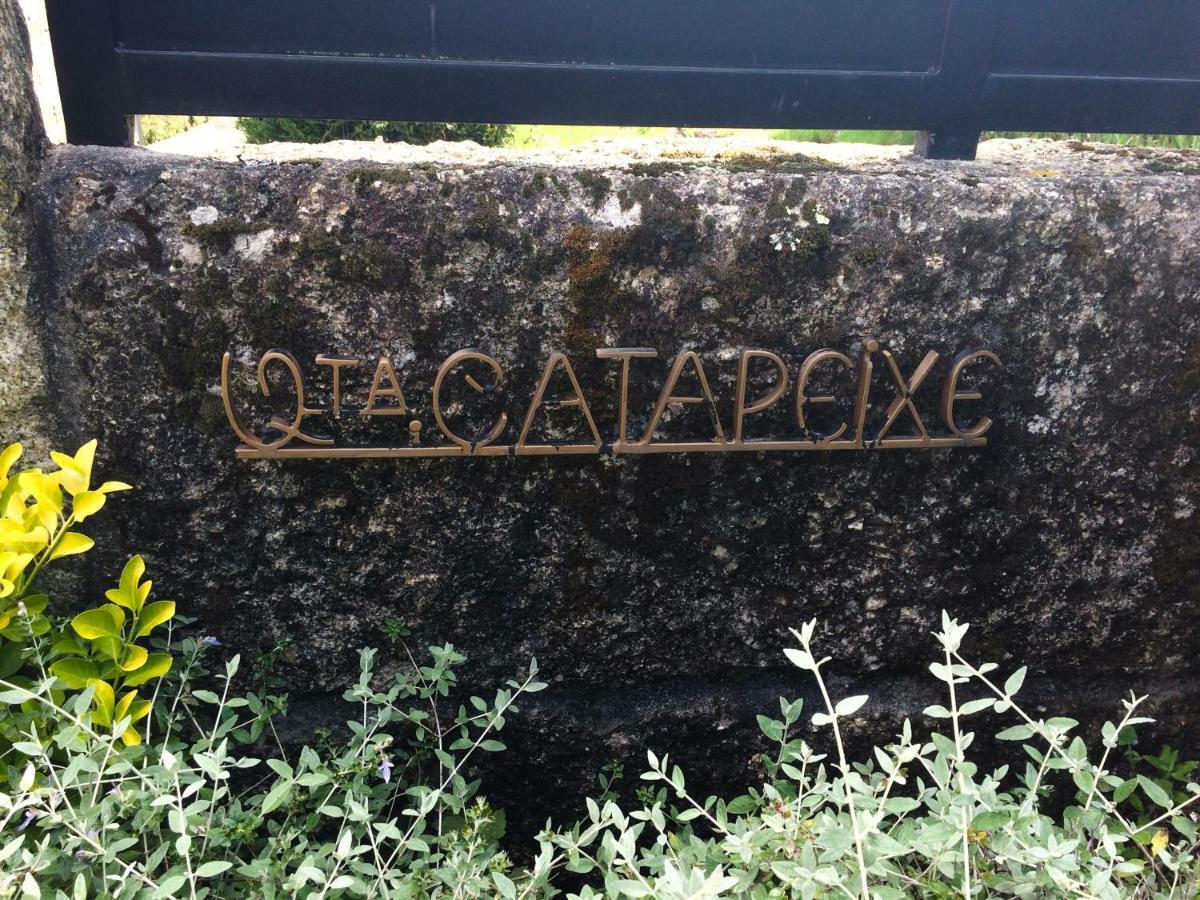 Quinta De Catapeixe Douro River Magrelos 외부 사진