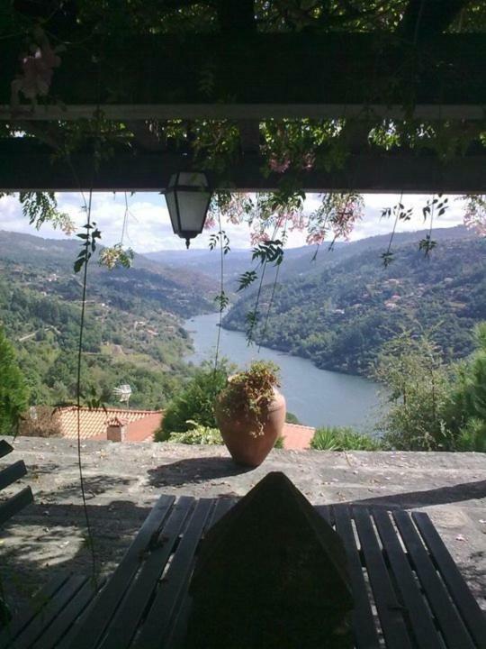 Quinta De Catapeixe Douro River Magrelos 외부 사진