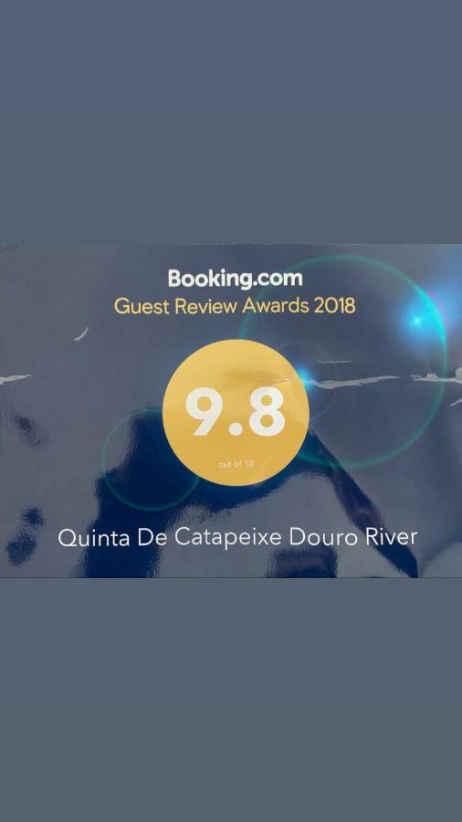 Quinta De Catapeixe Douro River Magrelos 외부 사진