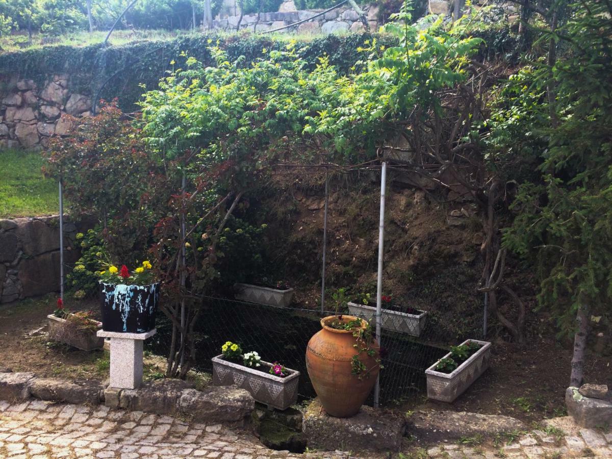 Quinta De Catapeixe Douro River Magrelos 외부 사진